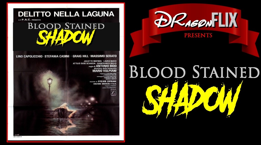 Blood Stained Shadow 16.9